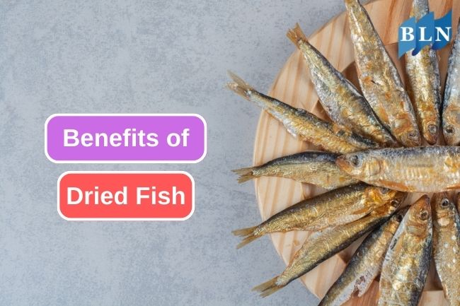 5 Advantages Of Fish Drying Method